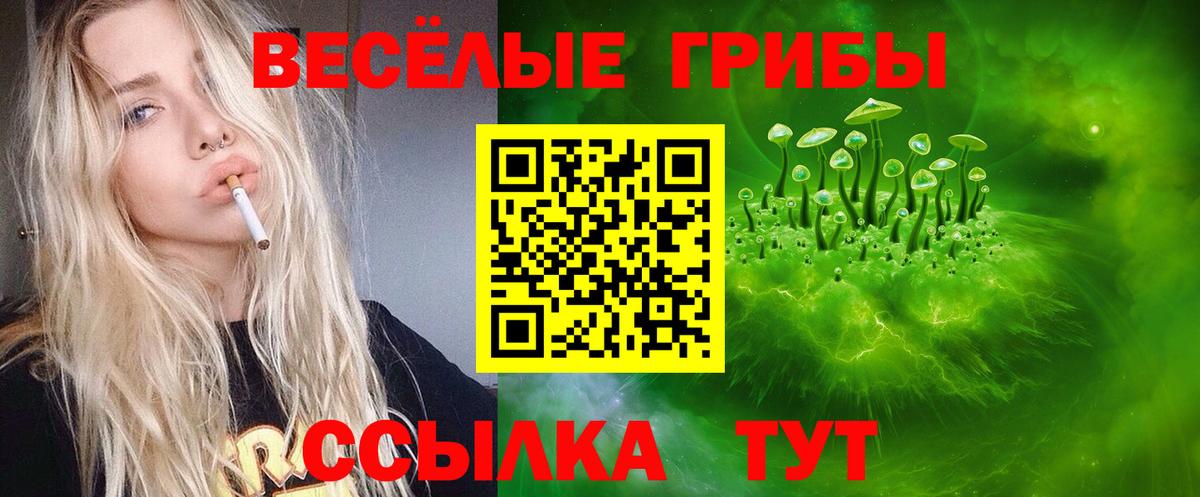 Ульяновск  Псилоцибиновые грибы прущие грибы  Вход с VPN 